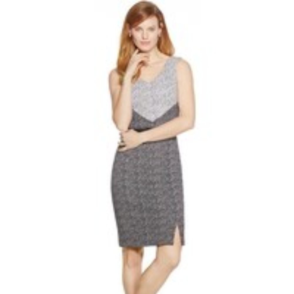 WHBM Sleeveless V-Neck Colorblock Sheath Dress